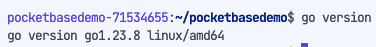 Screenshot showing output of "go version" which indicates go version is now 1.23